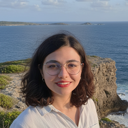 Profile photo placeholder for Forouzan Fallah